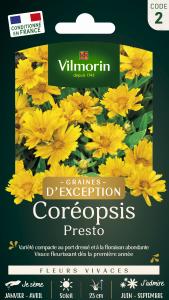 Coréopsis Presto - Graines d'Exception